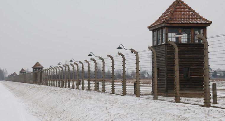 Một số sự kiện dẫn đến Holocaust là gì?