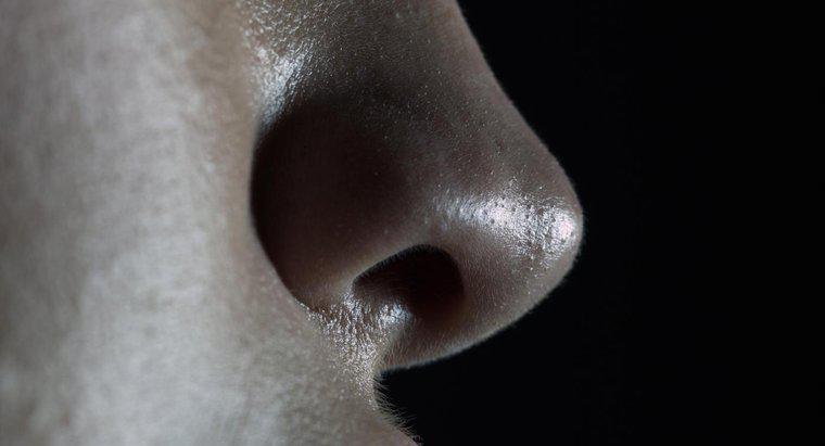 Tại sao một lỗ mũi luôn bị nghẹt?