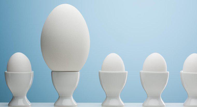 Có bao nhiêu quả trứng lớn bằng một quả trứng cực lớn?