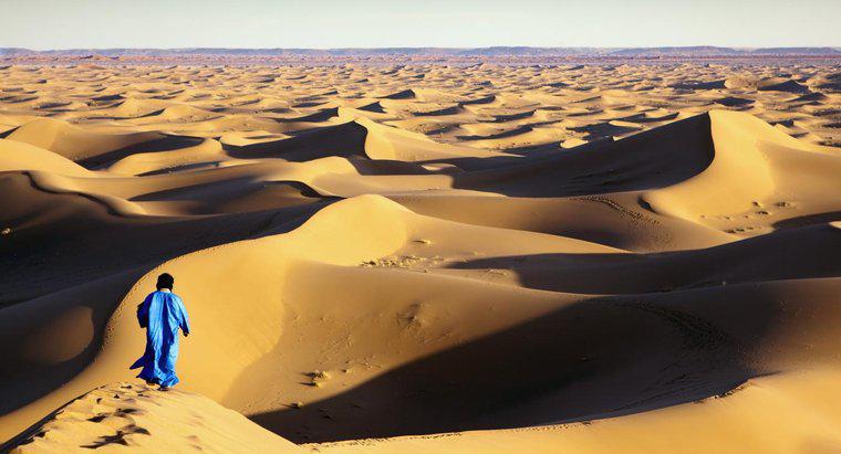 Nghề nghiệp của những người sống ở sa mạc Sahara là gì?