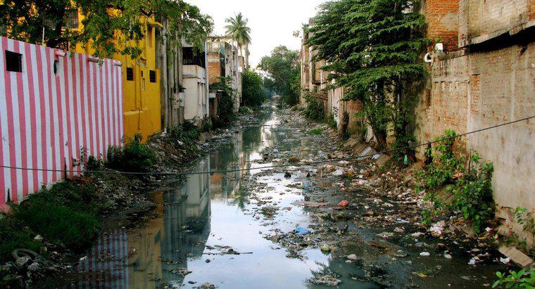 Nguyên nhân của suy thoái môi trường ở Ấn Độ là gì?