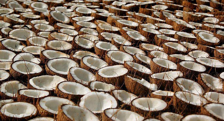 Những Lợi ích Sức khỏe và Công dụng của Dầu Dừa là gì?