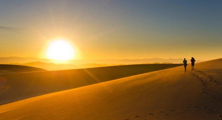 Sinh tồn 101: Mọi người sống trong sa mạc như thế nào?