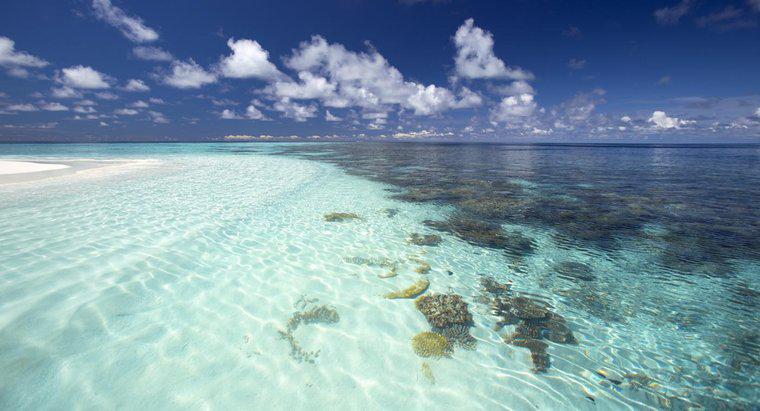 Đại dương ấm nhất trên thế giới là gì?