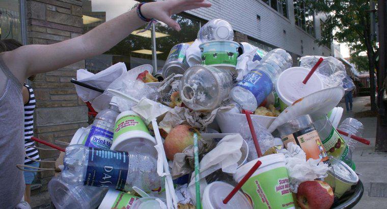 Có bao nhiêu chai nhựa được ném đi mỗi năm?