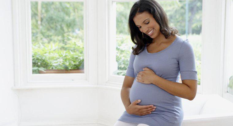 Mang thai ảnh hưởng như thế nào đến thân nhiệt cơ bản của phụ nữ?