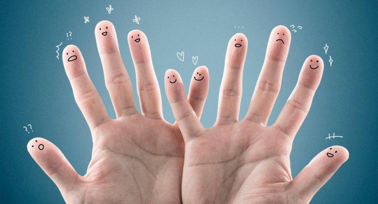 Tại sao đầu ngón tay rất nhạy cảm với cảm ứng?
