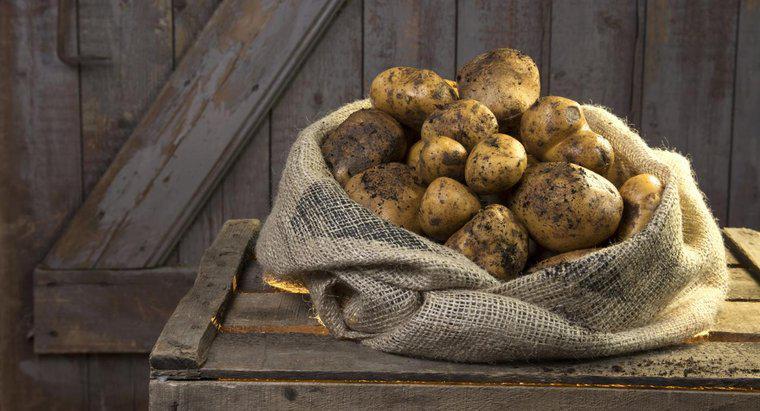 Một số hướng dẫn sử dụng túi khoai tây là gì?