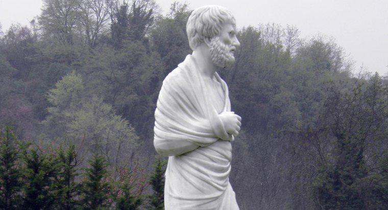 Aristotle tin gì về bản chất con người?