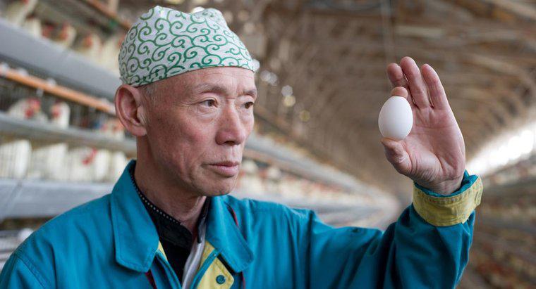 Bạn có thể bị ốm khi ăn trứng cũ không?