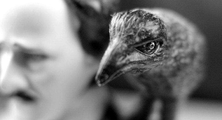 Một số ám chỉ hiện diện trong "The Raven" của Edgar Allen Poe là gì?