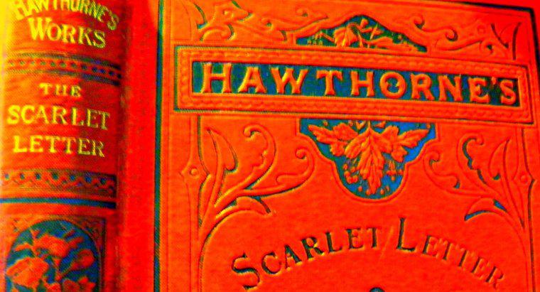 "The Scarlet Letter" có phải là một tiểu thuyết Protofeminist không?