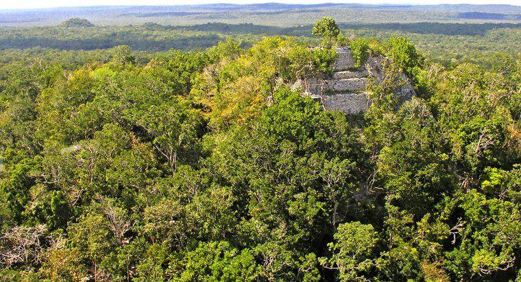 Người Maya sống ở đâu?