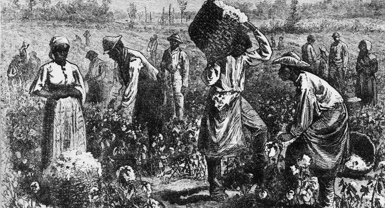 Vấn đề Chế độ nô lệ khác nhau như thế nào ở miền Bắc và miền Nam?