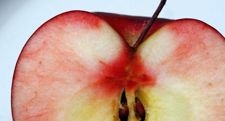 Hạt táo được phân tán như thế nào?