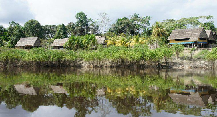 Sông Amazon bắt đầu và kết thúc ở đâu?