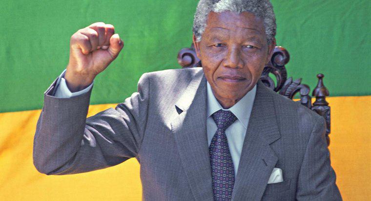 Nelson Mandela đã đạt được thành tựu gì?