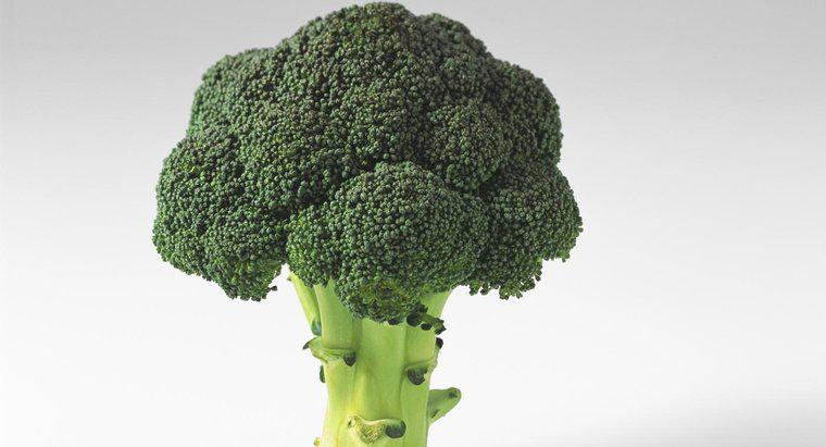 Bông cải xanh có tác dụng gì đối với cơ thể bạn?