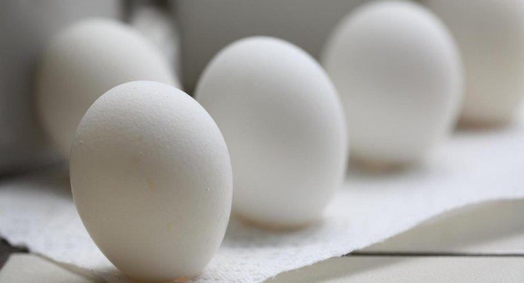 Điều gì sẽ xảy ra nếu bạn ăn một quả trứng xấu?