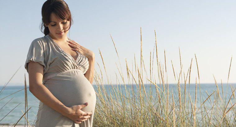 Một số dấu hiệu mang thai ở người là gì?