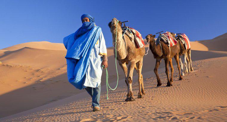 Sa mạc Sahara bao gồm những quốc gia nào?