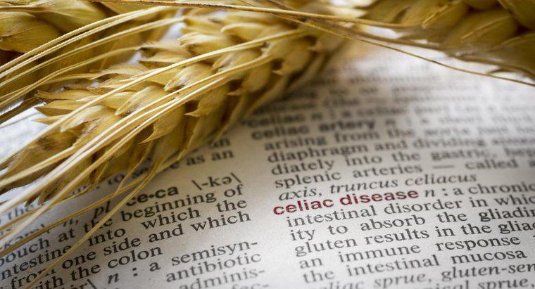 Một số triệu chứng của dị ứng lúa mì là gì?