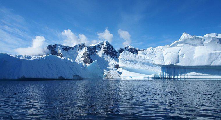 Một số thông tin về Nam Cực là gì?