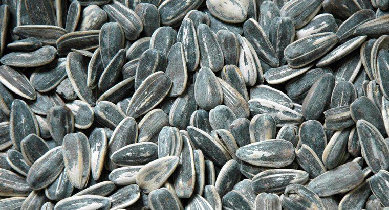 Điều gì sẽ xảy ra nếu bạn ăn vỏ hạt hướng dương?