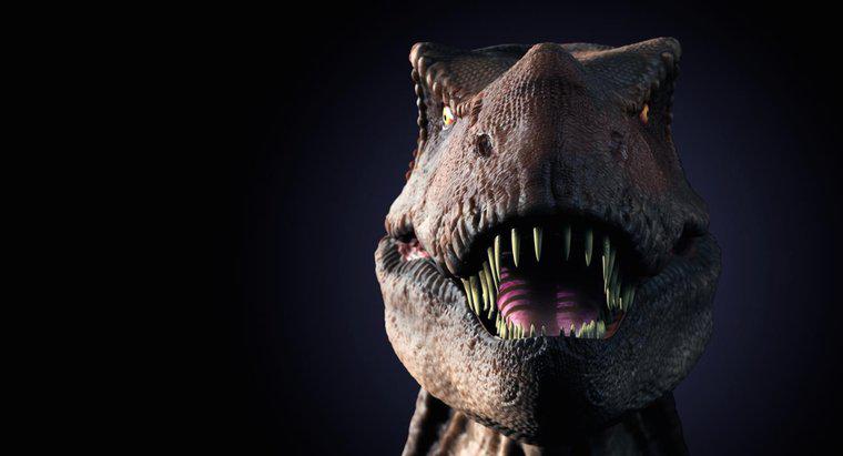 Một số thông tin thú vị về T. Rex dành cho trẻ em là gì?