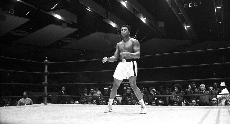 Một số thành tựu của Muhammad Ali là gì?