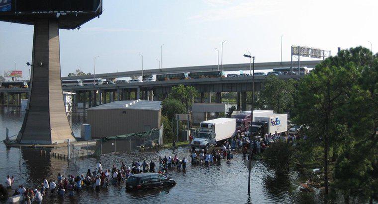 Bão Katrina đổ bộ vào New Orleans khi nào?