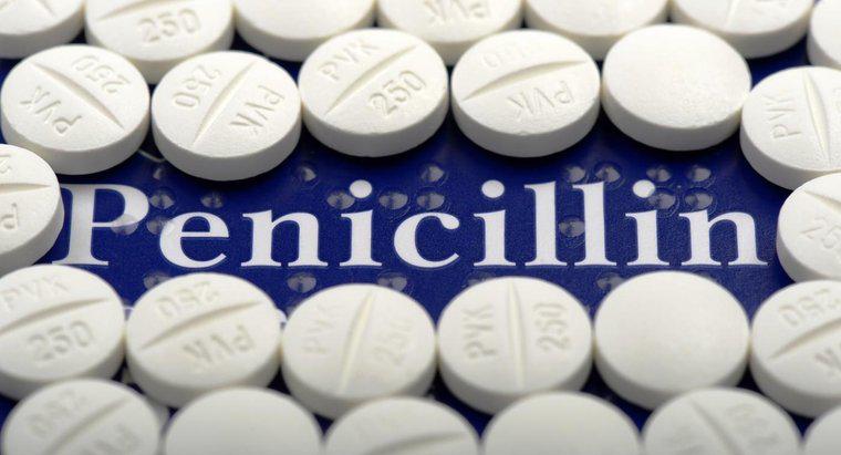 Penicillin làm gì?