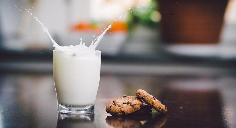 Các thành phần trong sữa nguyên kem là gì?