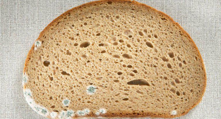 Mối nguy hiểm khi ăn bánh mì bị mốc là gì?