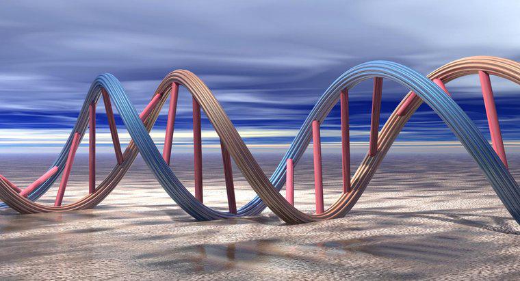 Tại sao DNA cần tái tạo?