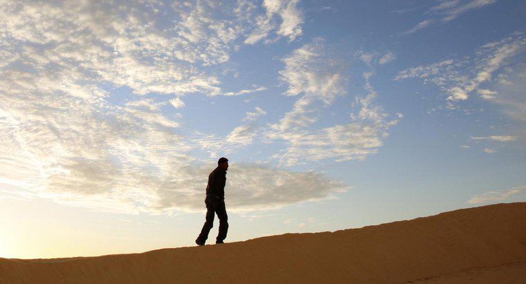Lời khuyên tốt nhất để sống sót trong sa mạc là gì?