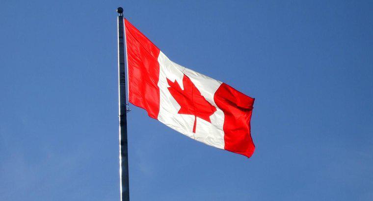 Canada nhập khẩu gì từ các nước khác?