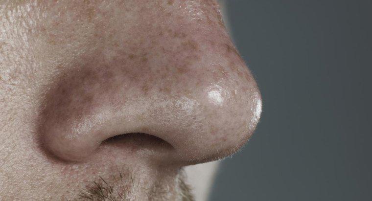 Nguyên nhân nào gây ra vết loét bên trong mũi?