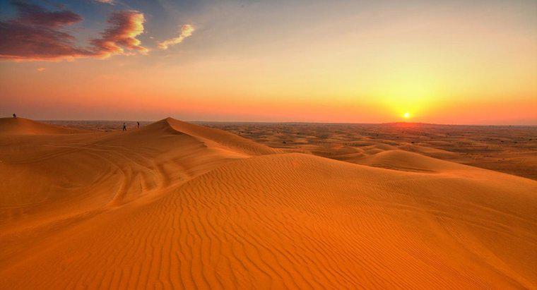 Các yếu tố sinh học và phi sinh học trong sa mạc là gì?