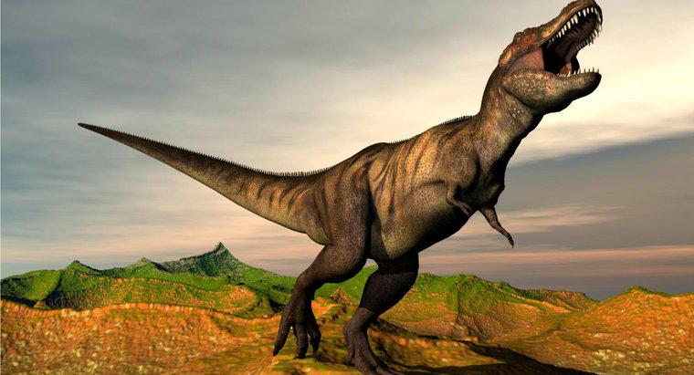 Một số sự thật về khủng long bạo chúa Rex là gì?