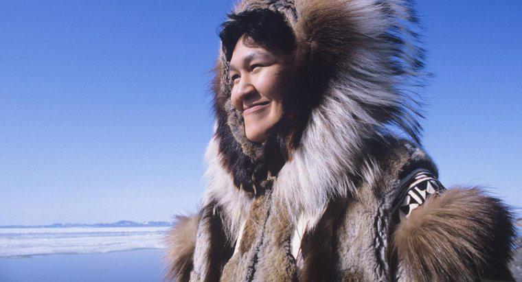 Một số thông tin về người Inuit là gì?