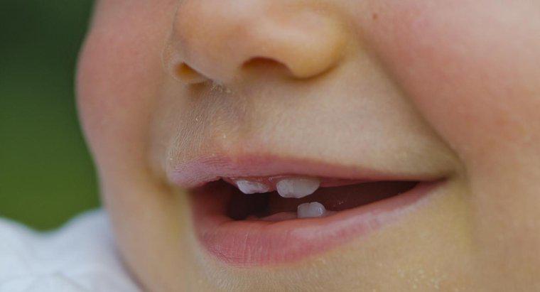 Nguyên nhân nào gây ra răng nhỏ?
