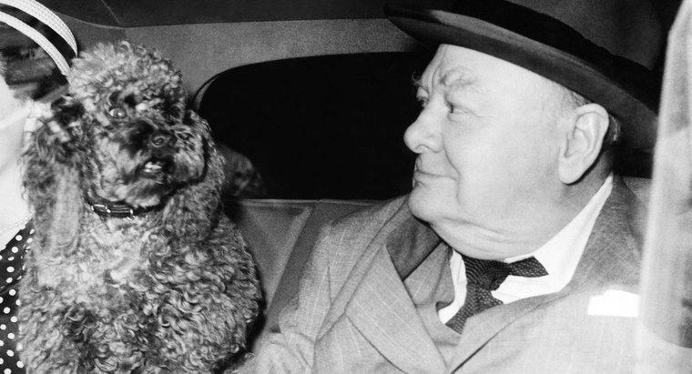 Winston Churchill là ai và tại sao ông ấy nổi tiếng?