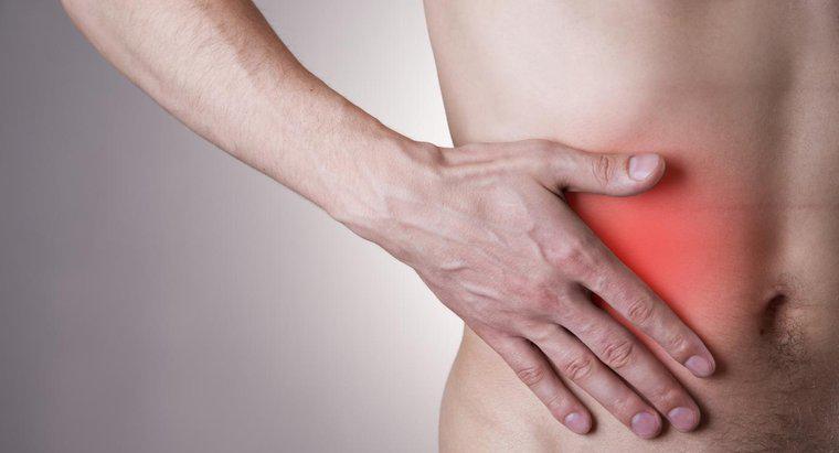 Các triệu chứng của viêm ruột thừa ở người lớn là gì?