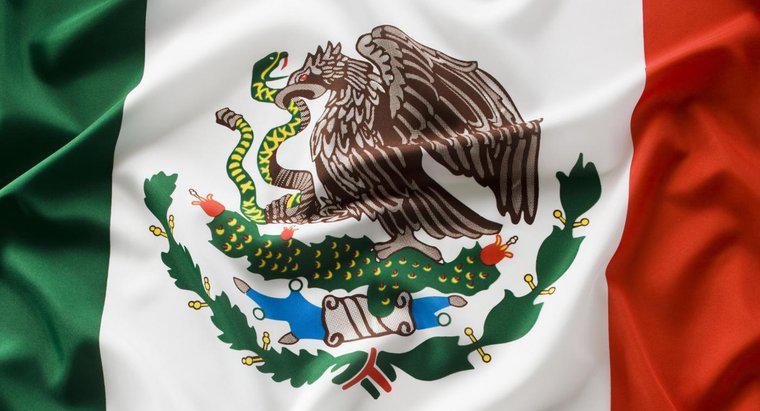 Loại đại bàng nào trên cờ Mexico?