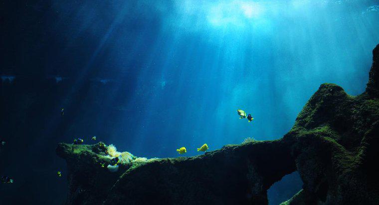 Điều gì xảy ra ở rãnh sâu dưới đáy đại dương?