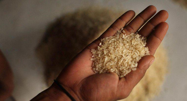 Một hạt gạo nặng bao nhiêu?