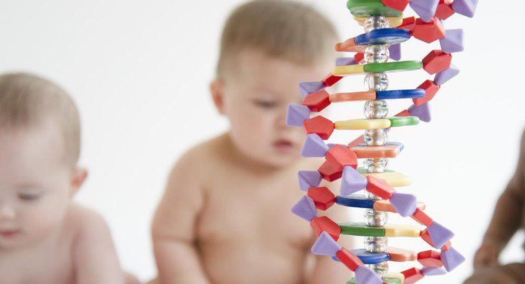 Rối loạn di truyền có thể bỏ qua nhiều thế hệ không?