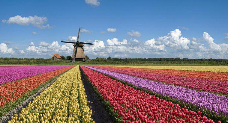 Hà Lan nổi tiếng về điều gì?