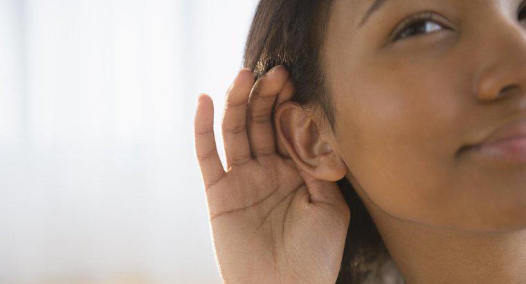 Nguyên nhân nào khiến bạn nghe thấy nhịp tim trong tai?